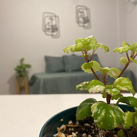 Tierra Alojamientos Σάλτα Εξωτερικό φωτογραφία
